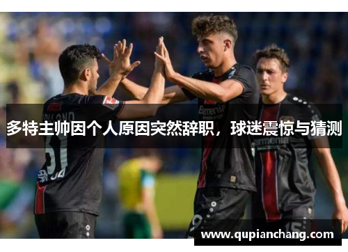 多特主帅因个人原因突然辞职，球迷震惊与猜测